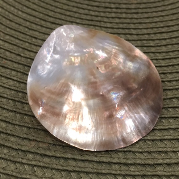 🧡 Vintage Shell Scarf Slide - Picture 3 of 5